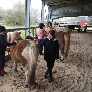07.POney