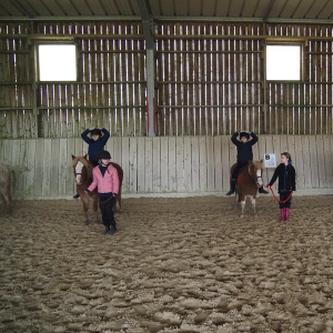 10.Poney