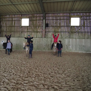 08.Poney