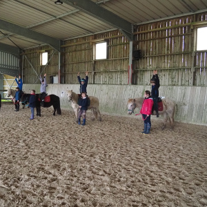 09.Poney